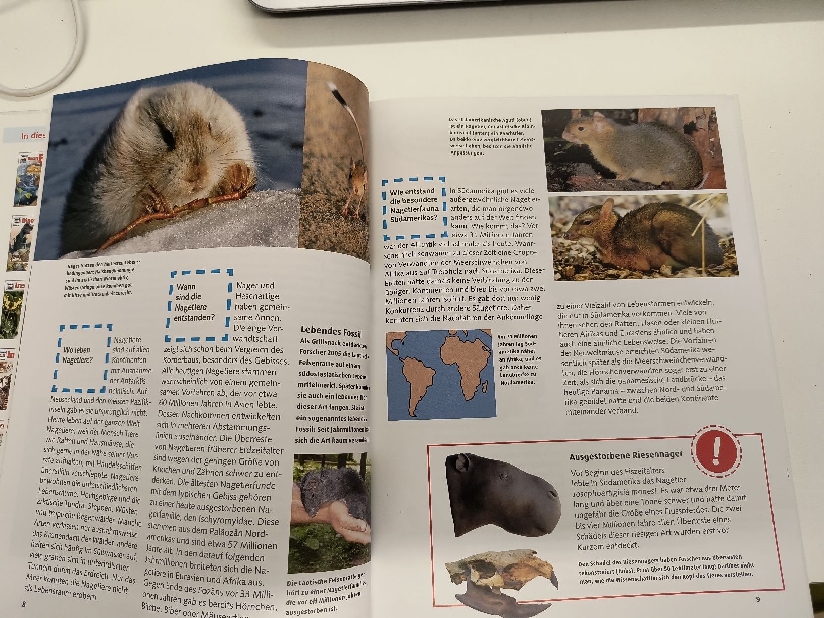Libri: Was ist was Buch / Hamster, Biber, Nager – Usato da Schöfflisdorf venduto da kin_2dp9 1