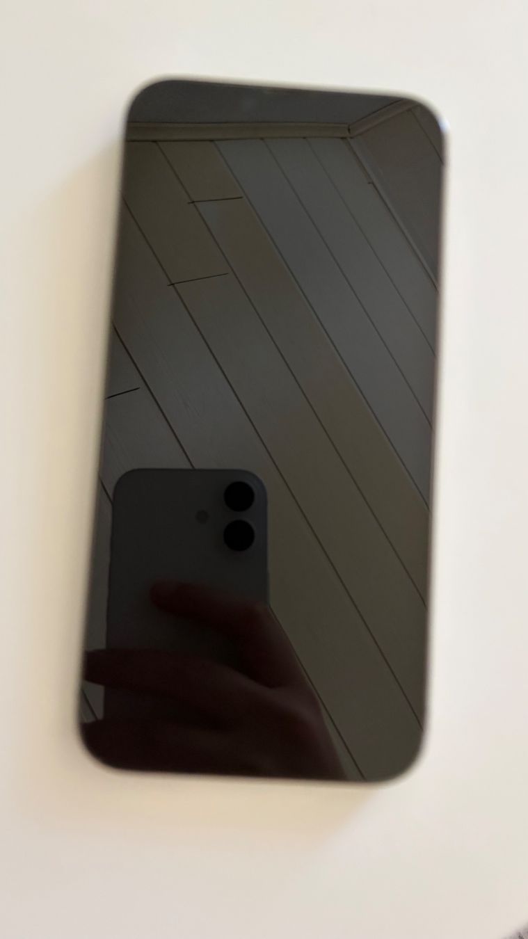 Apple Telefoni cellulari / Smartphones: iPhone 13 Pro Max, Graphit, 256 GB, Top Zustand! – Usato da Oftringen venduto da tug_2chl 1