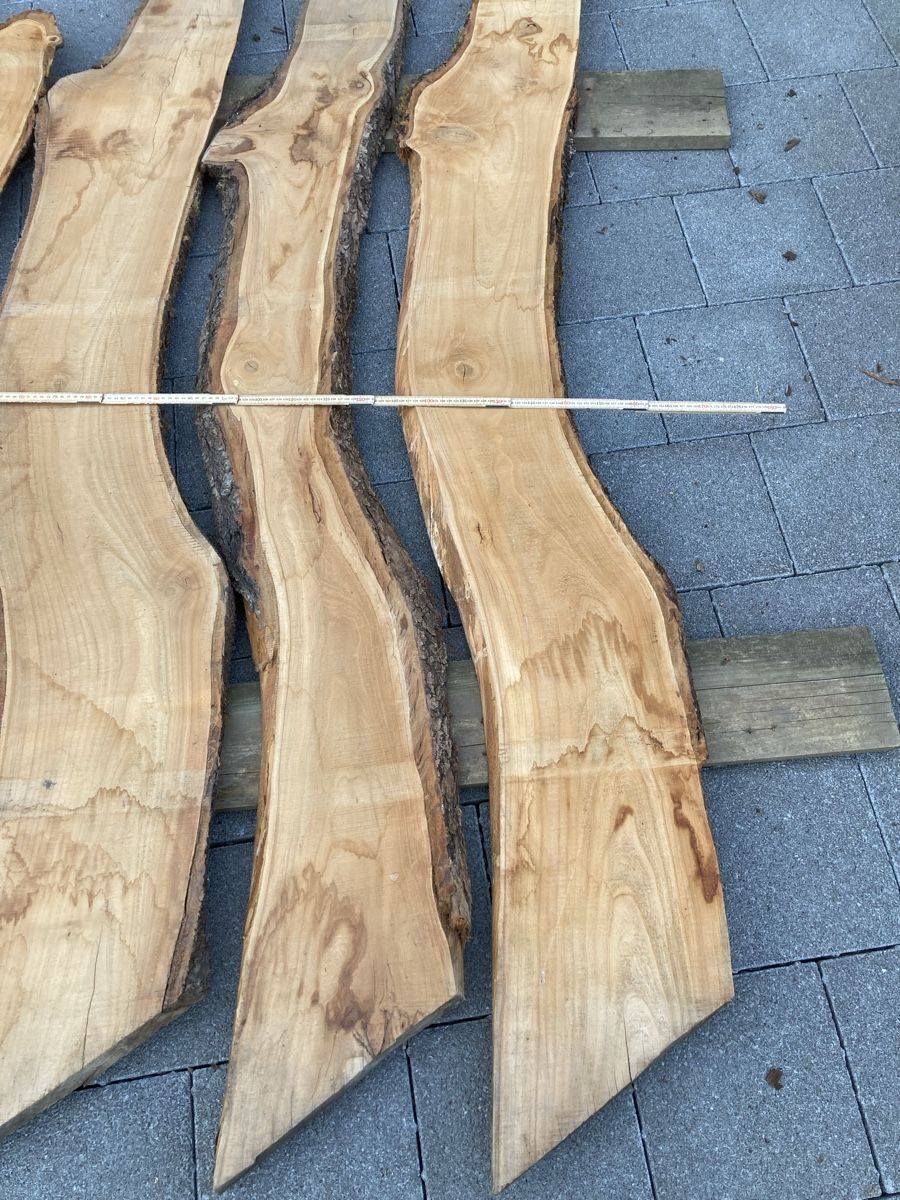 Articoli in legno: Kirschbaumbretter – Usato da Luthern Bad venduto da Peter686 2