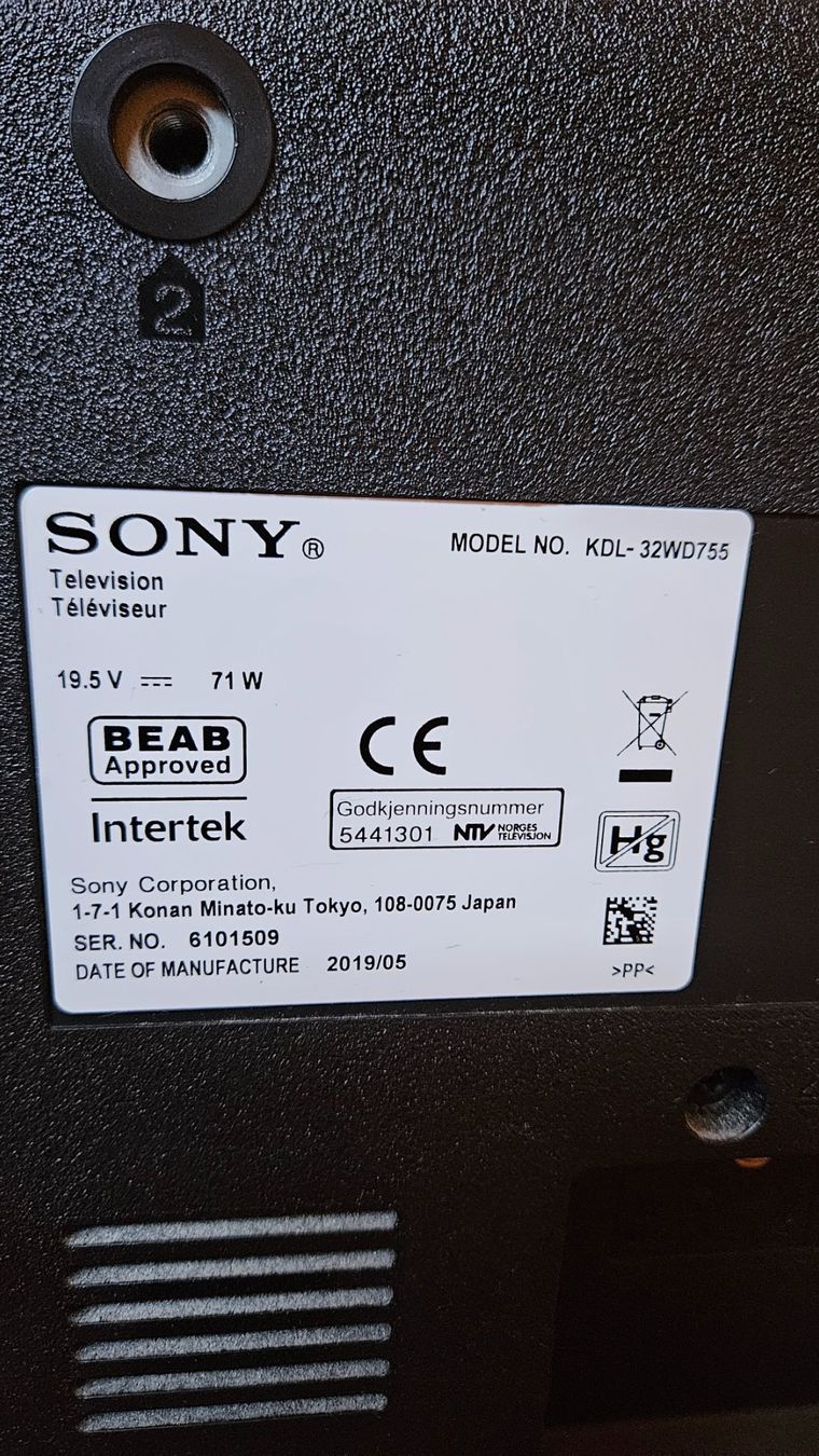 Sony Televisori: Sony Bravia TV 2019 – Usato da Diessenhofen venduto da Primordium 1