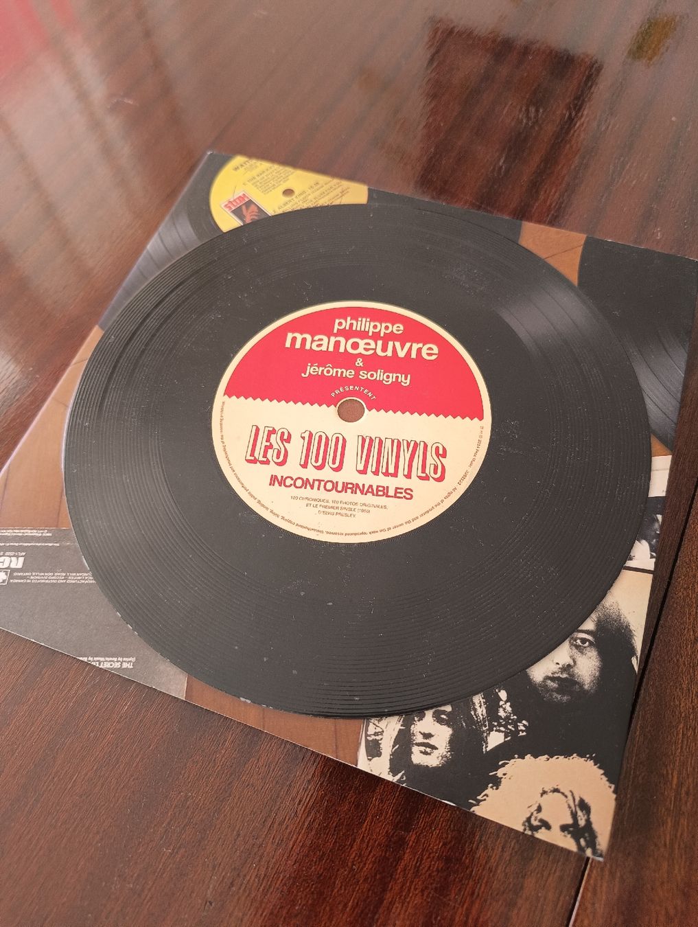 Libri: lot de livres sur les vinyles – Nuovo (secondo la descrizione) da Petit-Lancy venduto da jer_npv6 2