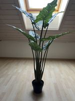 Alocasia im Topf, Kunstpflanze, neuwertig 120 cm