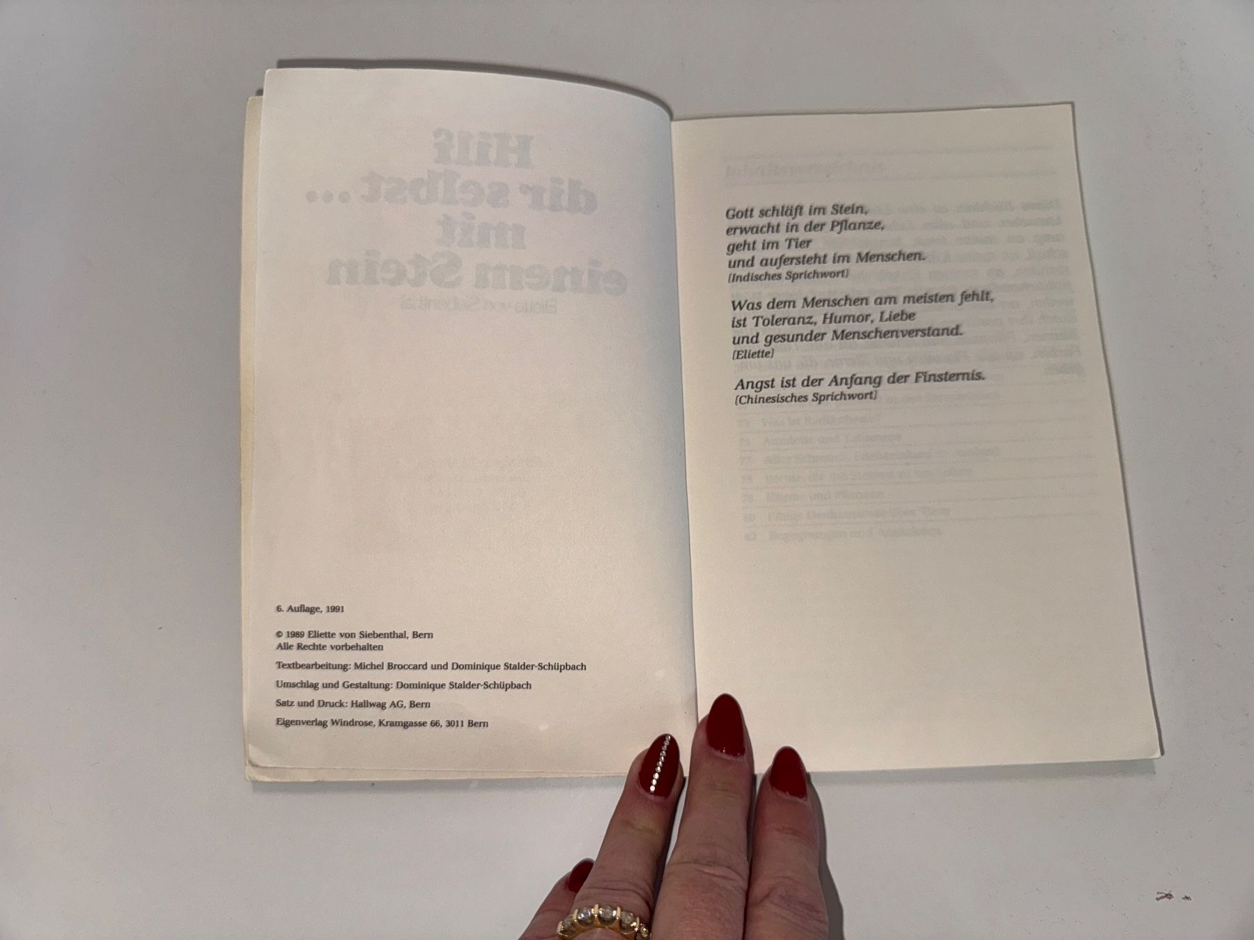 Livres: Buch: Hilf dir selbst mit einem Stein, E. von Siebenthal – D'occasion à Grosswangen par Second_hand_paradise 1
