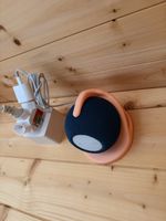 2x Apple HomePod mini