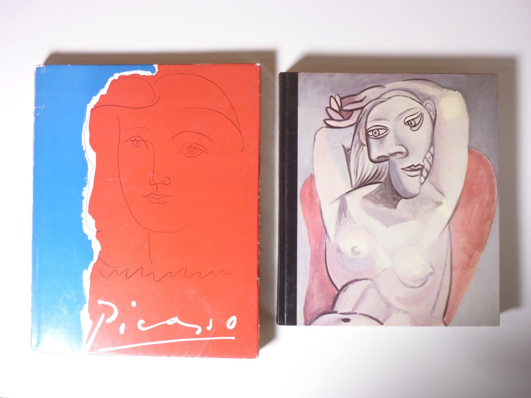 Libri: Konvolut Picasso 7 Titel – Usato da Erschwil venduto da taglang 2