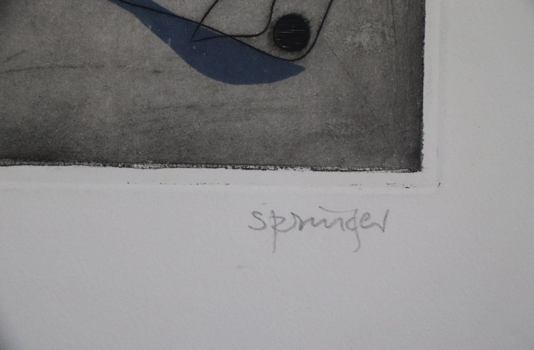 Dipinti: Ferdinand Springer1907/08-1998, Radierung, handsigniert – Usato da Zug venduto da Kunst-Fundgrube 3