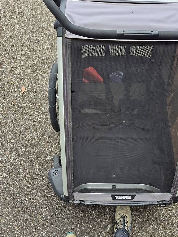 Rimorchi: Thule Chariot Lite 2 Agave 2021 – Usato da Malters venduto da Seat2.0