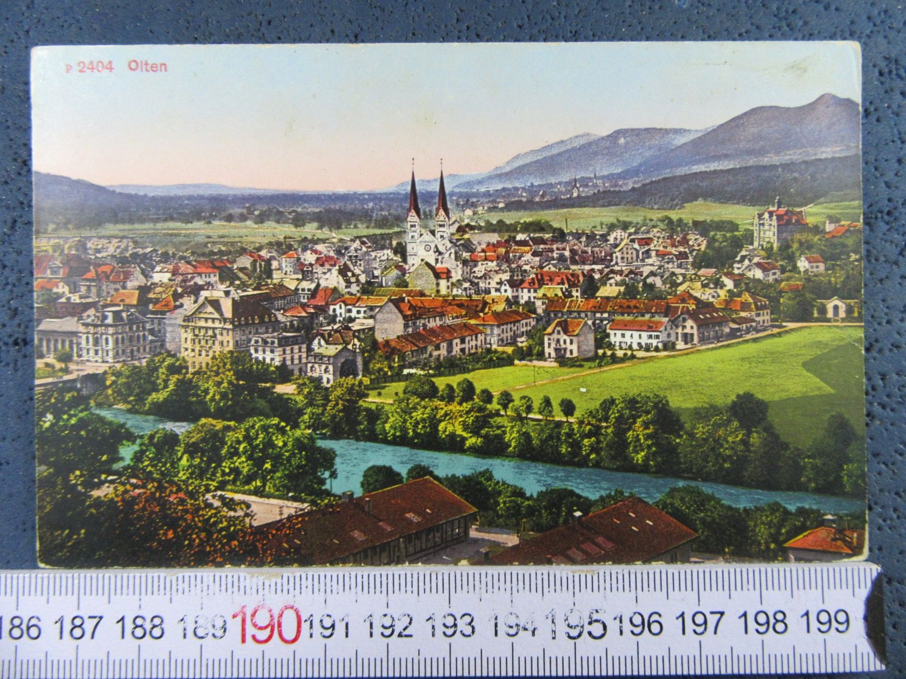 Cartoline postali: OLTEN VOGELSCHAU SO AK – Usato da Ettingen venduto da Hausi4711