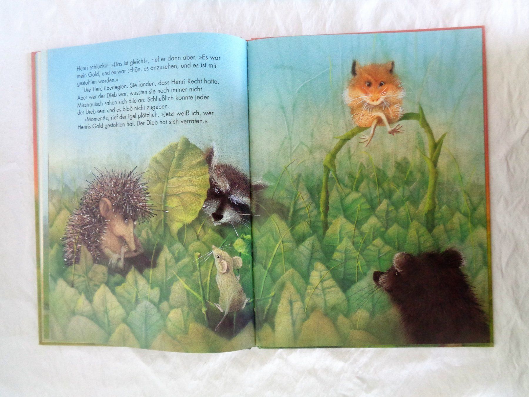 Libri: Wer hat dem Hamster das Gold gestohlen? / Bilderbuch – Usato da Bellach venduto da JingleJerry 3