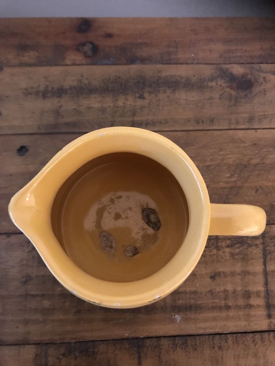 Caraffe: Alter kleiner Krug mit Gänsen – Usato da Rapperswil SG venduto da cosiba01 2