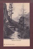 Waldweg bei GÖSCHENEN