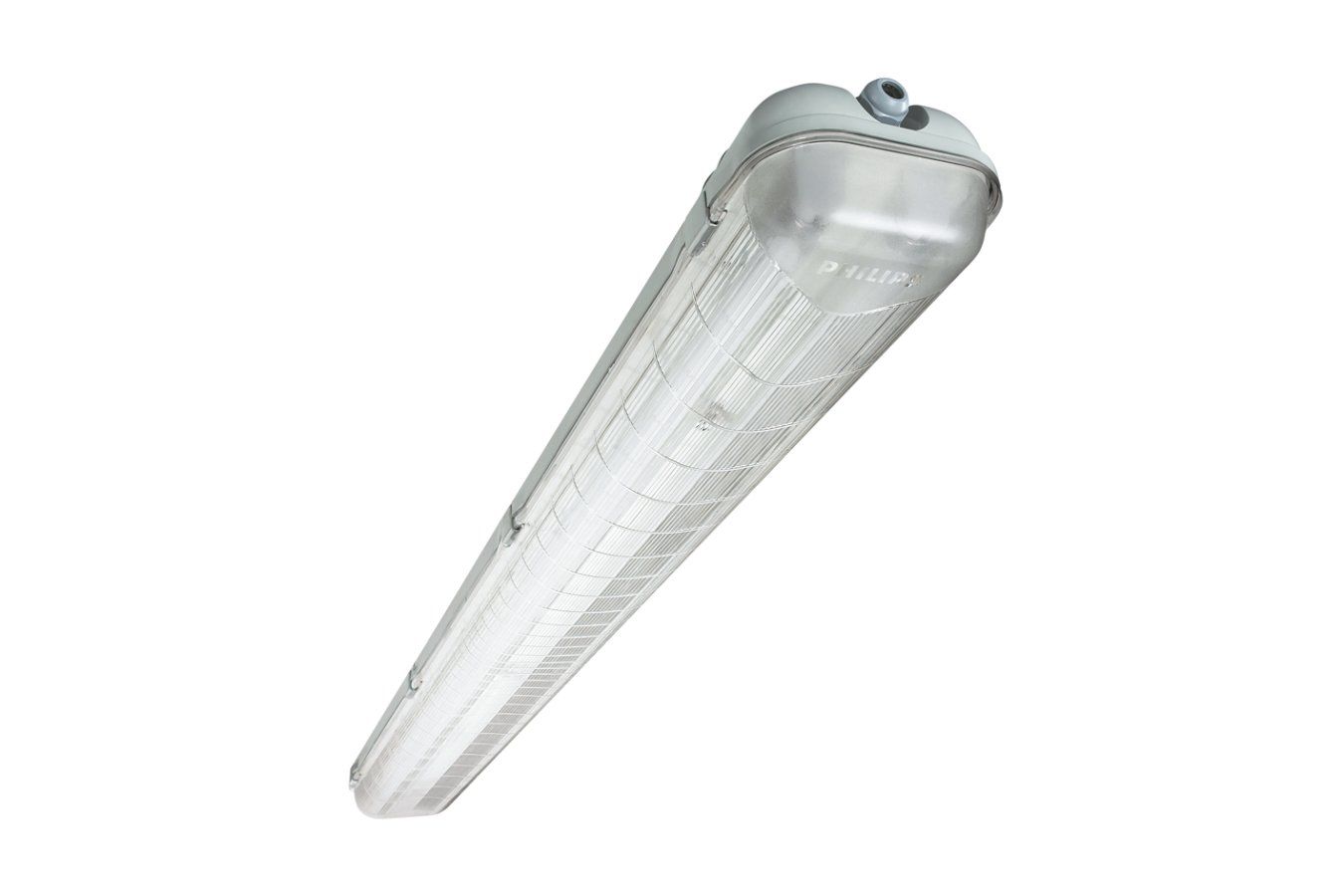 Philips Lampadari & plafoniere: Philips TCW060 Deckenbeleuchtung / 2 Stück – Nuovo (secondo la descrizione) da Therwil venduto da Blackauktionator 4
