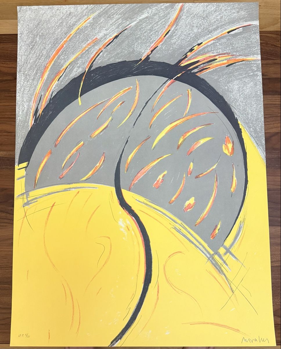 Grafica & Litografie: FINA MIRELLES NOBELL -LITHOGRAPHIE – Usato da Solothurn venduto da NUVICO