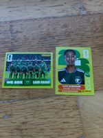 Panini KSA 12,13