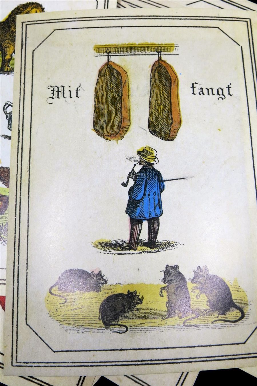 Giochi: Rätseln & Rätseln lassen, Karten – Usato da Arisdorf venduto da Liquidus 6