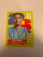 Panini Sticker WM 2026, COD 8 Charles Pickel