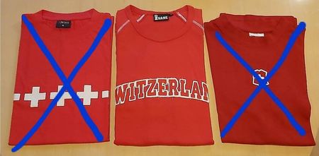 T-Shirt Switzerland L neu