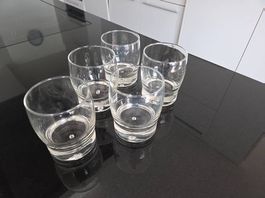 5 Zwiesel Schott Whisky Gläser