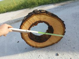 Nussbaum Holzscheibe Nr. 4 Dekoration