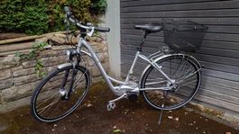 Flyer T8 Premium (gebraucht aber in gutem Zustand)