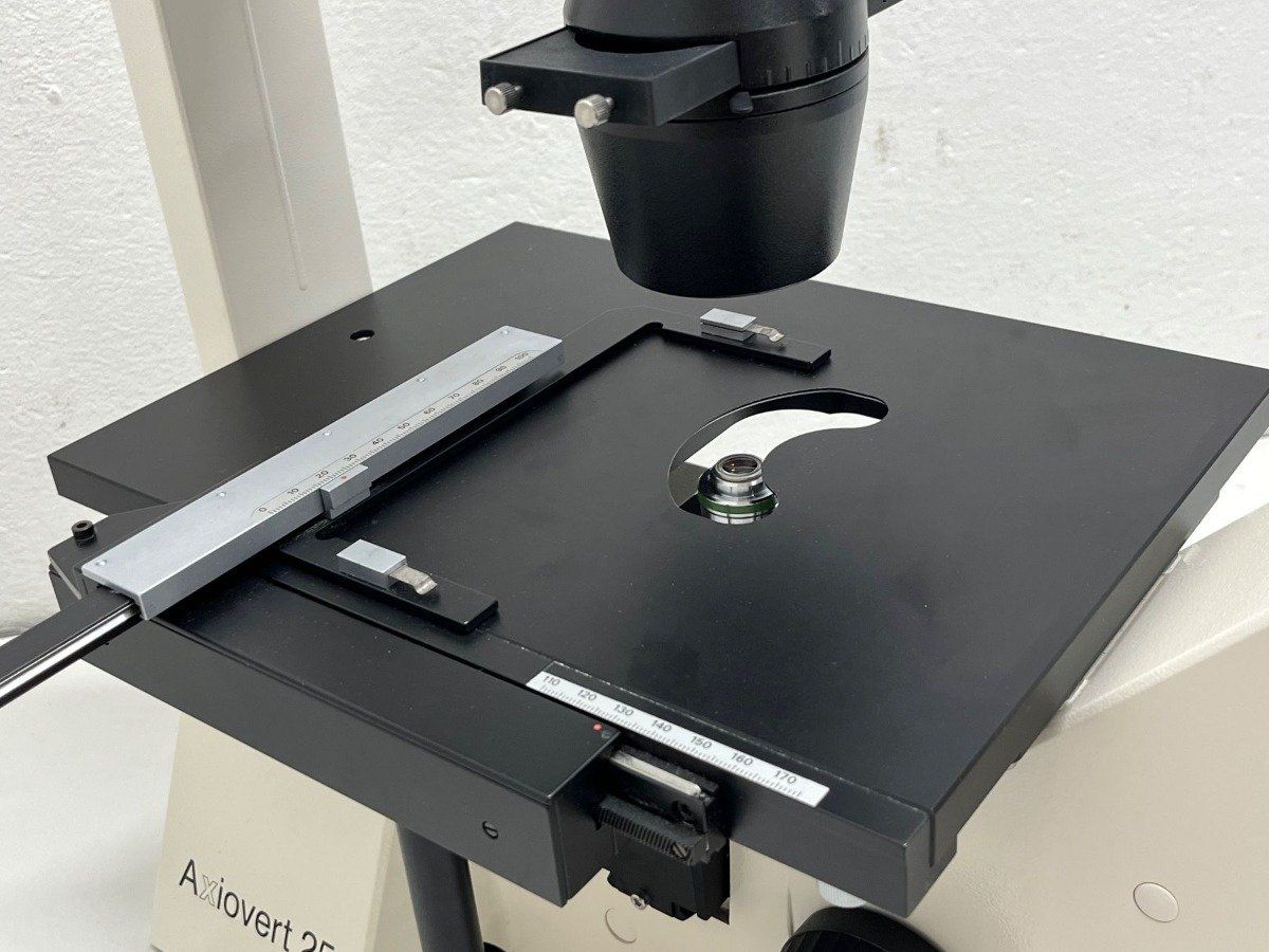 Zeiss Microscopi: Zeiss Axiovert 25 Inversmikroskop mit Phasenkontrast – Usato da Niederdorf venduto da LeptonAG_Labor 6