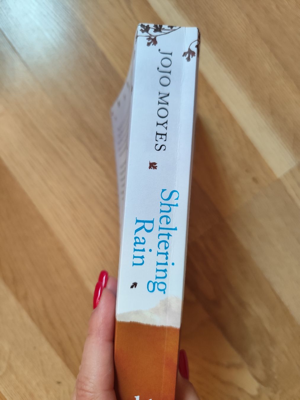 Libri: Sheltering Rain by Jojo Moyes  – Usato da Mägenwil venduto da VintageGirly 5