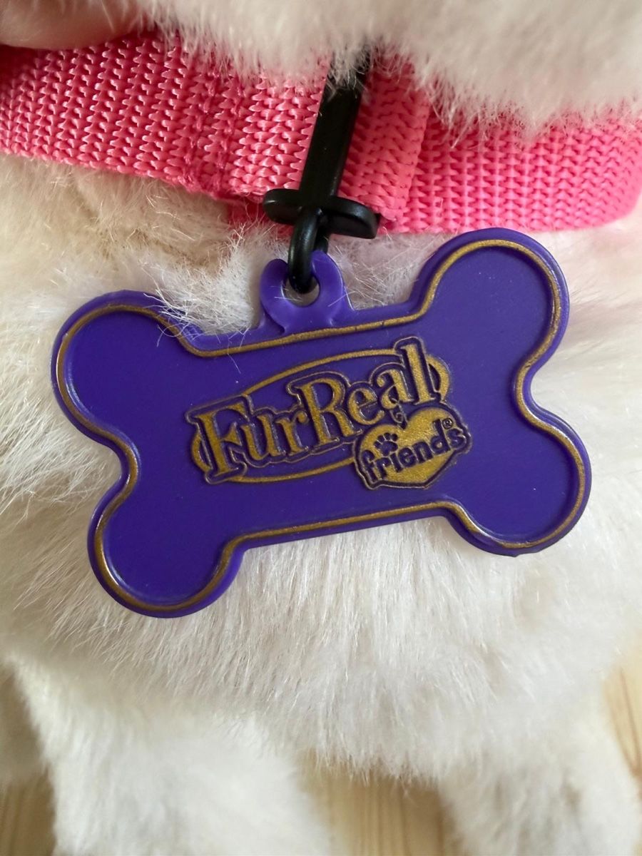 Hasbro Giocattoli: Furreal Hund Cookie von Hasbro – Usato da Beinwil (Freiamt) venduto da Zpower 3