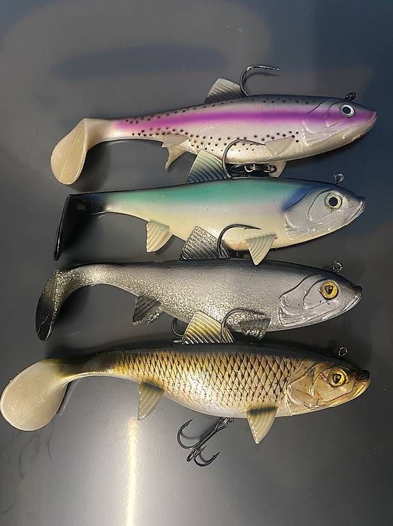 Esche: Lot de replicant 14cm + 23cm – Usato da Preverenges venduto da Jojoa35