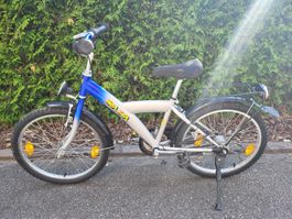 20 Zoll Fahrrad 