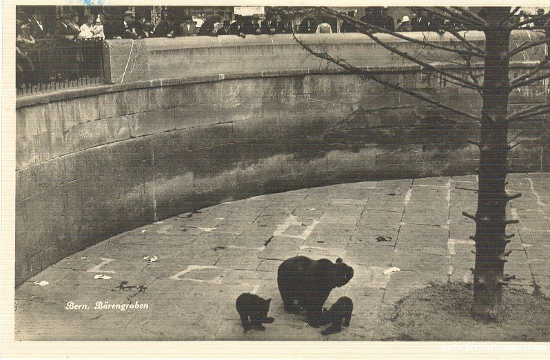 Cartoline postali: Bern - Bärengraben + 1925 – Usato da Emmenbrücke venduto da teestube
