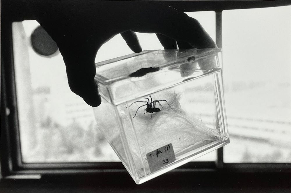 Michel François (1956) Fotografie Kaufen auf Ricardo