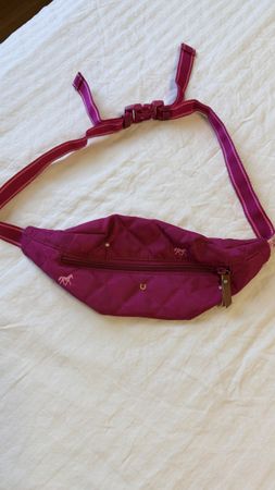 Bauchtasche / kleine Tasche für Mädchen guter Zustand