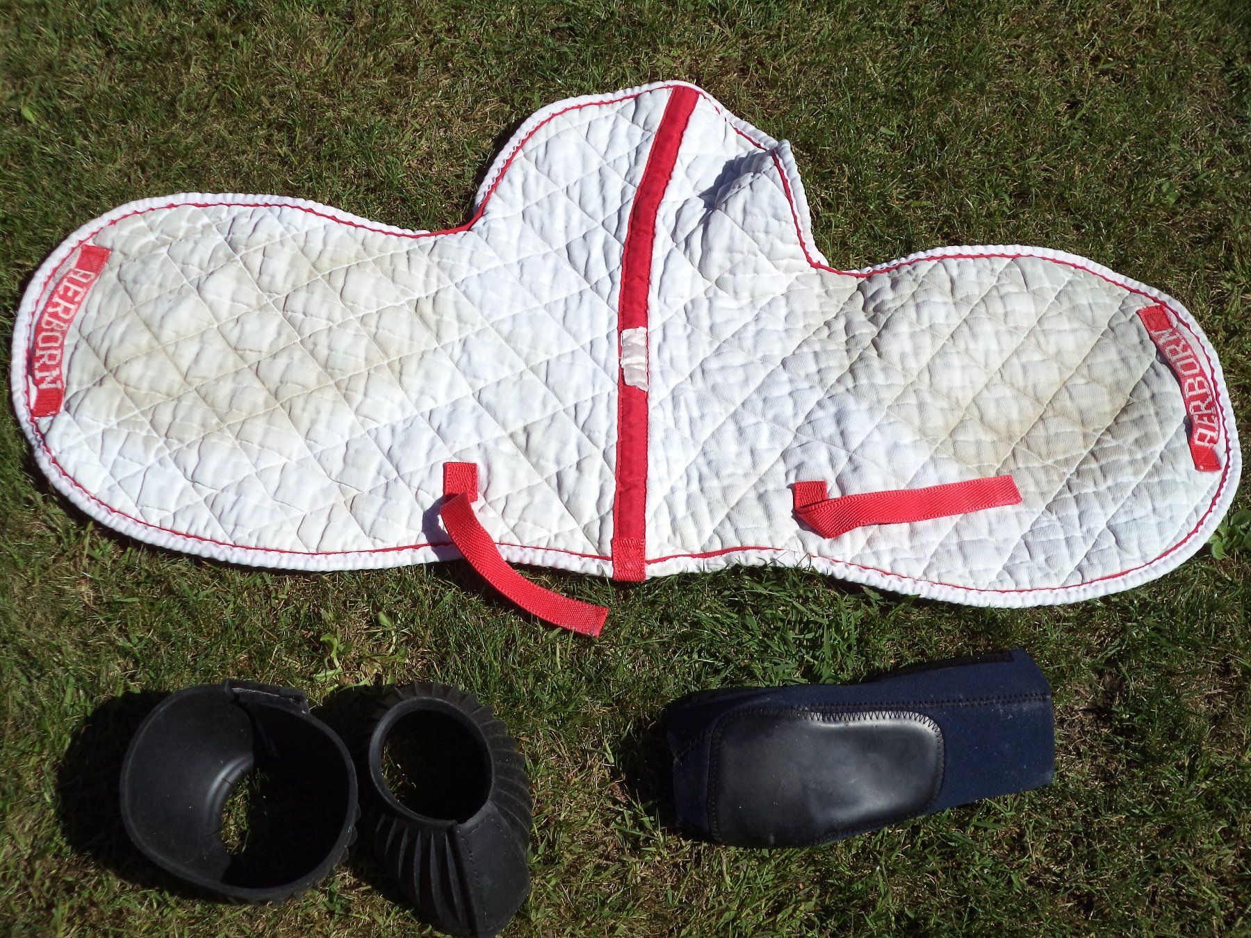 Selle & Accessori: SELLE à usage général 43 cm avec lot d'équipement – Usato da Champéry venduto da ced_vlj6 6