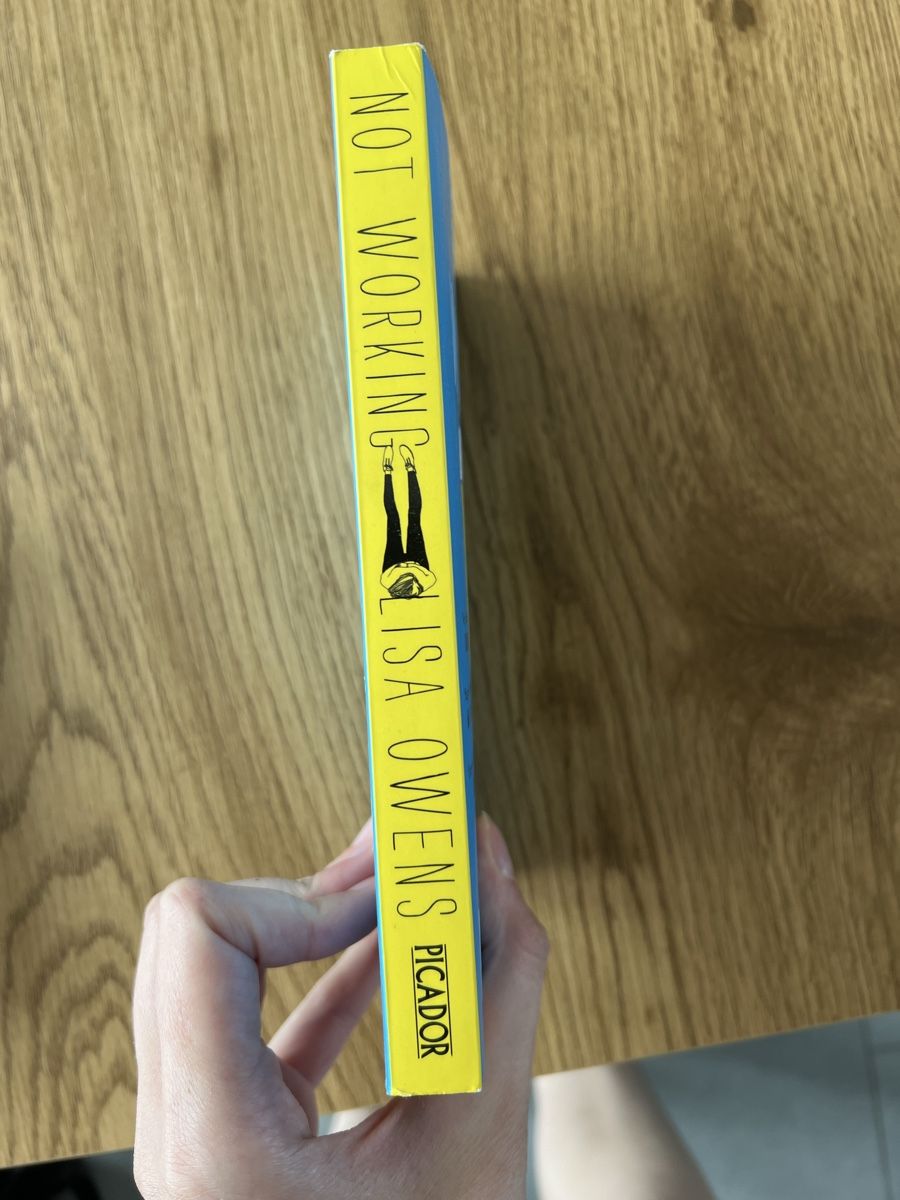 Libri: Not Working / Lisa Owens – Nuovo (secondo la descrizione) da Goldau venduto da mar_spt6 1