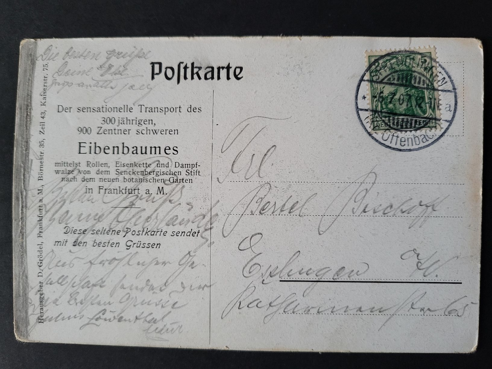 Tutti i francobolli: 1907, Postkarte nach "Esslingen" mit Eibenbaum – Usato da stäfa venduto da brandy66 1