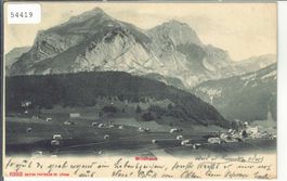 Wildhaus - Panorama