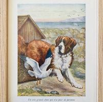 Duo de tableaux gravures anciennes 