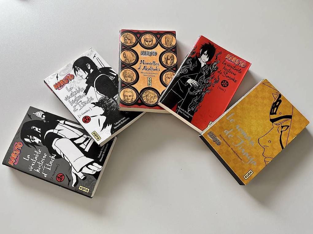 Fumetti: Livre mangas – Usato da GENEVE venduto da W-__-2000