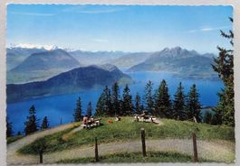 Rigi 1800 m ü.M., Aussblick vom Rigi-Känzeli