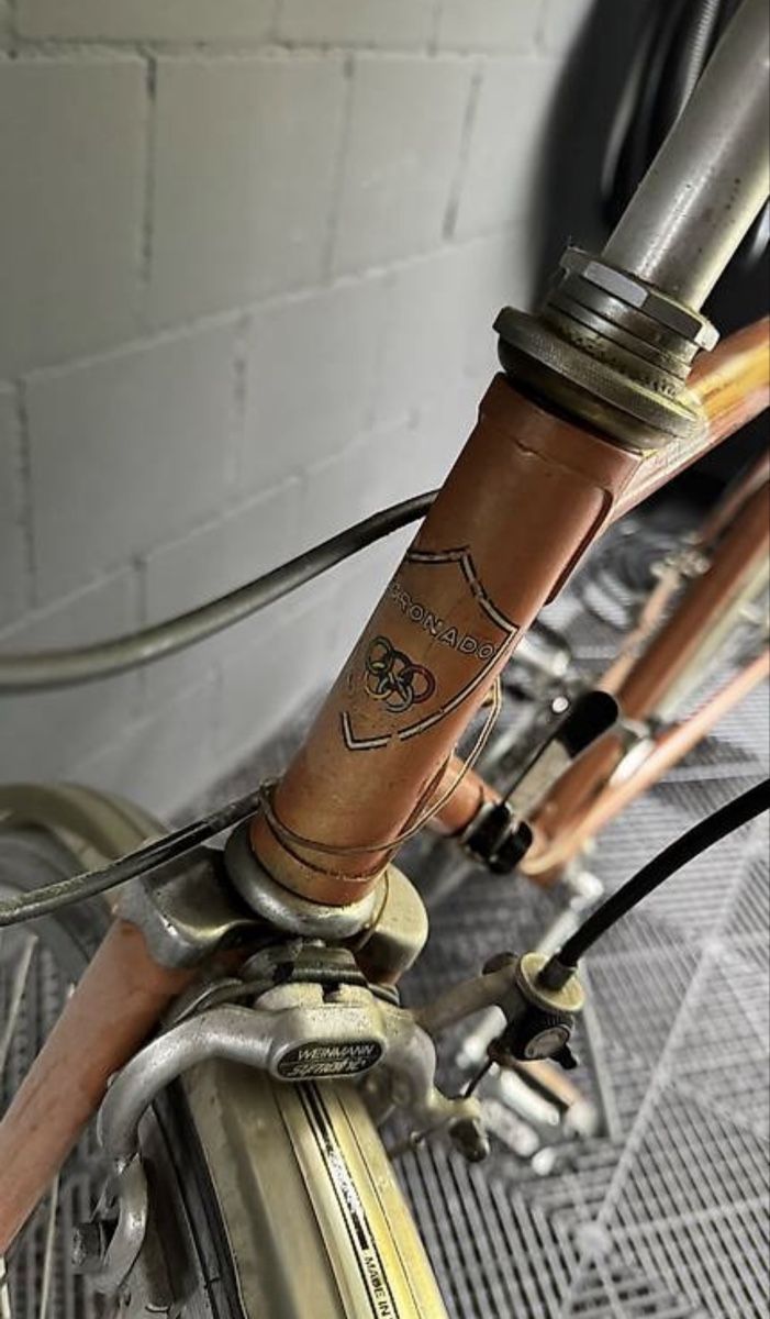 Vélos: Fahrrad Coronado – D'occasion à Därligen par mai_lz9l 1