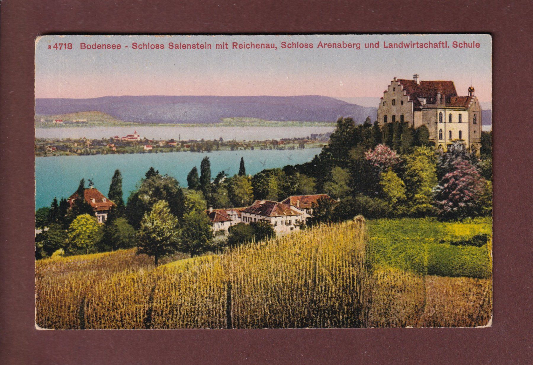 Cartoline postali: SCHLOSS SALENSTEIN mit Reichenau - 1919 – Usato da Pully venduto da nicecards