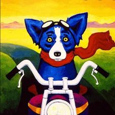 Profile image of zabi1975