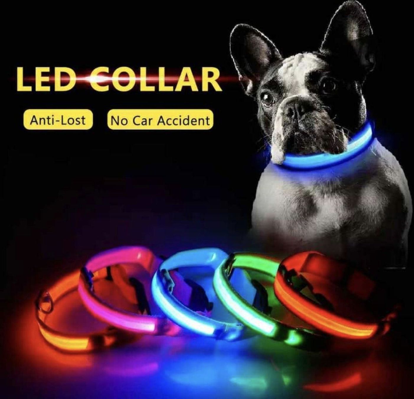 Guinzagli & Collari: LED Hundehalsbänder 40-48cm – Nuovo e nell'imballaggio originale da Zürich venduto da Edelshop 1