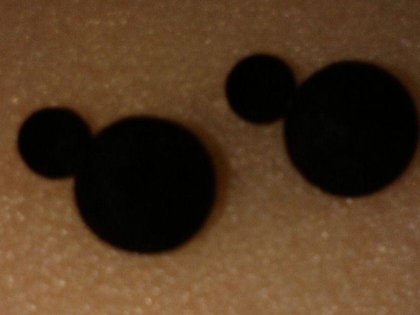 Orecchini pendenti & Orecchini a lobo: OHRRINGE MODESCHMUCK,,,SCHWARZ,,,MATTE – Nuovo (secondo la descrizione) da Basel venduto da bijoutrie_4 2