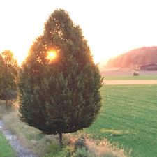 Profile image of Seasonsinthesun