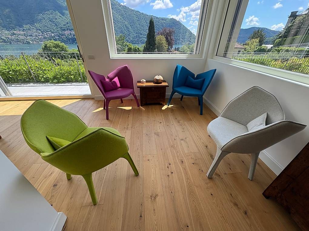 Roche Bobois Poltrone: Poltrone Lady B Roche Bobois – Usato da Chiasso venduto da giu_8v9d