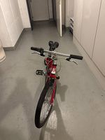 Kokua like to bike 20"