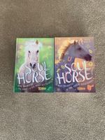 Soulhorse von Ruth Rahlff, zwei Bände