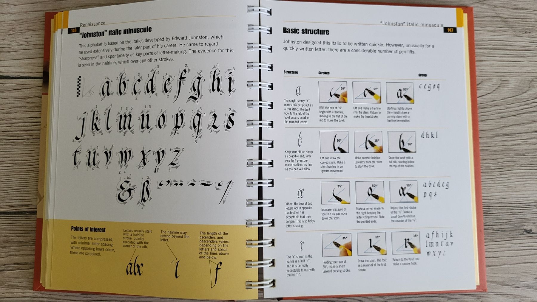 Libri: Calligrapher's Bible – Nuovo (secondo la descrizione) da Bern venduto da Jayless 1