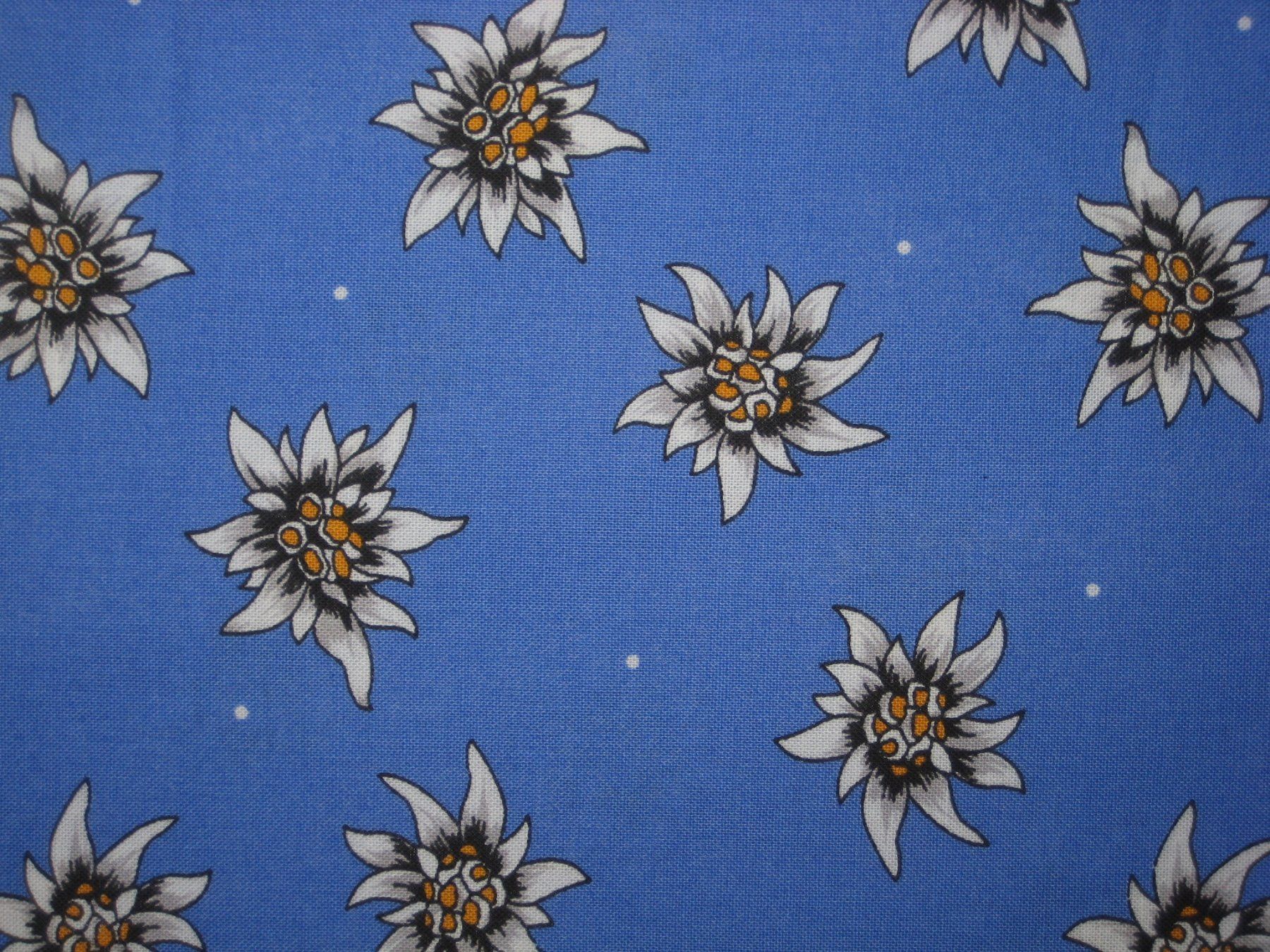 Tessuti: Baumwollstoff blau mit Edelweiss – Nuovo e nell'imballaggio originale da Füllinsdorf venduto da Schlupp 1